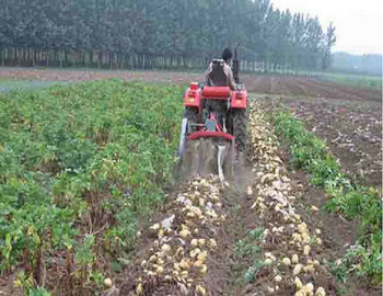 China Twee Rijen Klein Landbouwmachines Kleinschalig de Landbouwmateriaal leverancier